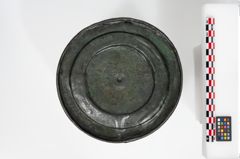 Foto von Bronzerippenziste (NHMW-PRAE-025670)